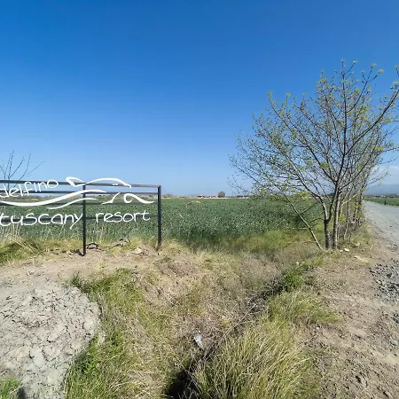 Delfino Tuscany Hotel Marina di Cecina