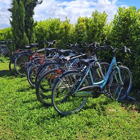 Delfino Tuscany Marina di Cecina