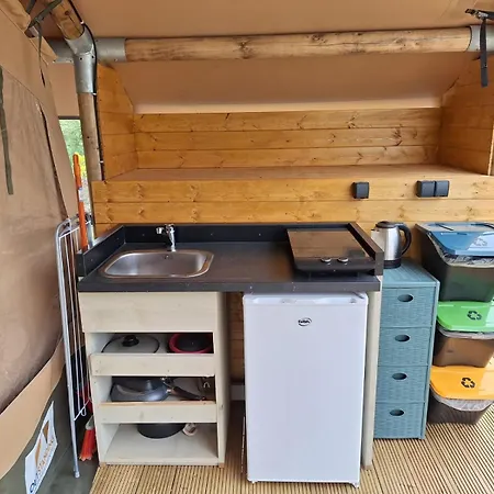 Delfino Tuscany Hotel Marina di Cecina